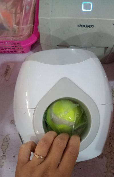 Intelligent Pet Feeder