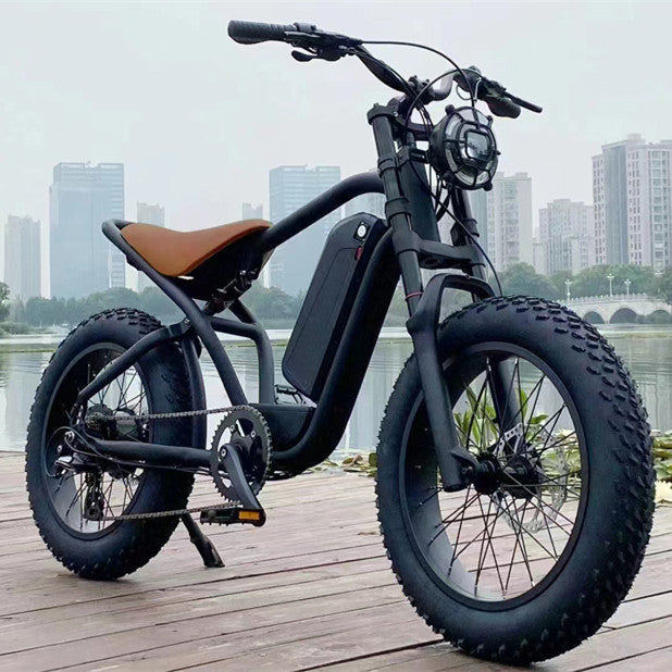 NEW Electric Mountain Bike Modification Boosts Lithium Battery