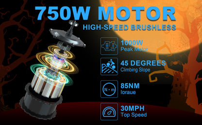 E-Bike 750W Motor,48V15Ah Battery,20 Inches