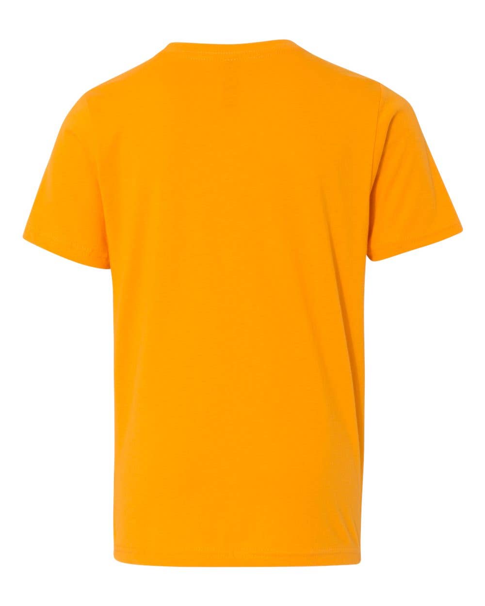 Next Level 3310 Youth Cotton T-Shirt