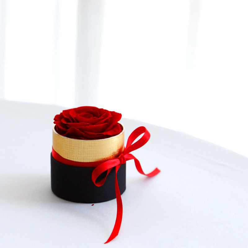 Single red rose in gold and black round gift box with red ribbon on white surface