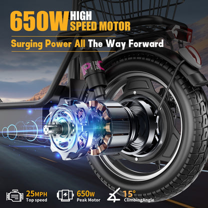 ASKGO Electric Scooter, 500W Motor, 14&
