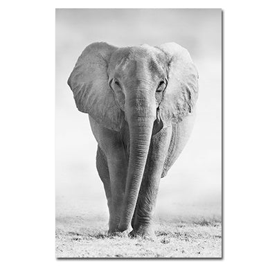 NEW Black And White Animals Tiger And Lion Wall Art Canvas Print Poster