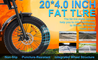 E-Bike 750W Motor,48V15Ah Battery,20 Inches