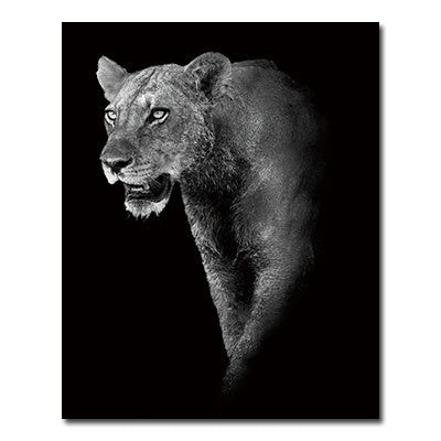 NEW Black And White Animals Tiger And Lion Wall Art Canvas Print Poster