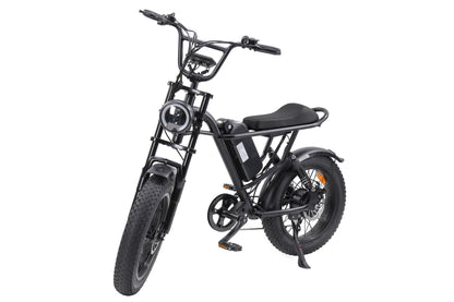 E-Bike 750W Motor,48V15Ah Battery,20 Inches