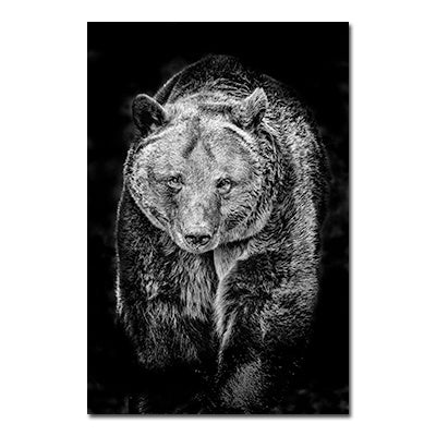 NEW Black And White Animals Tiger And Lion Wall Art Canvas Print Poster