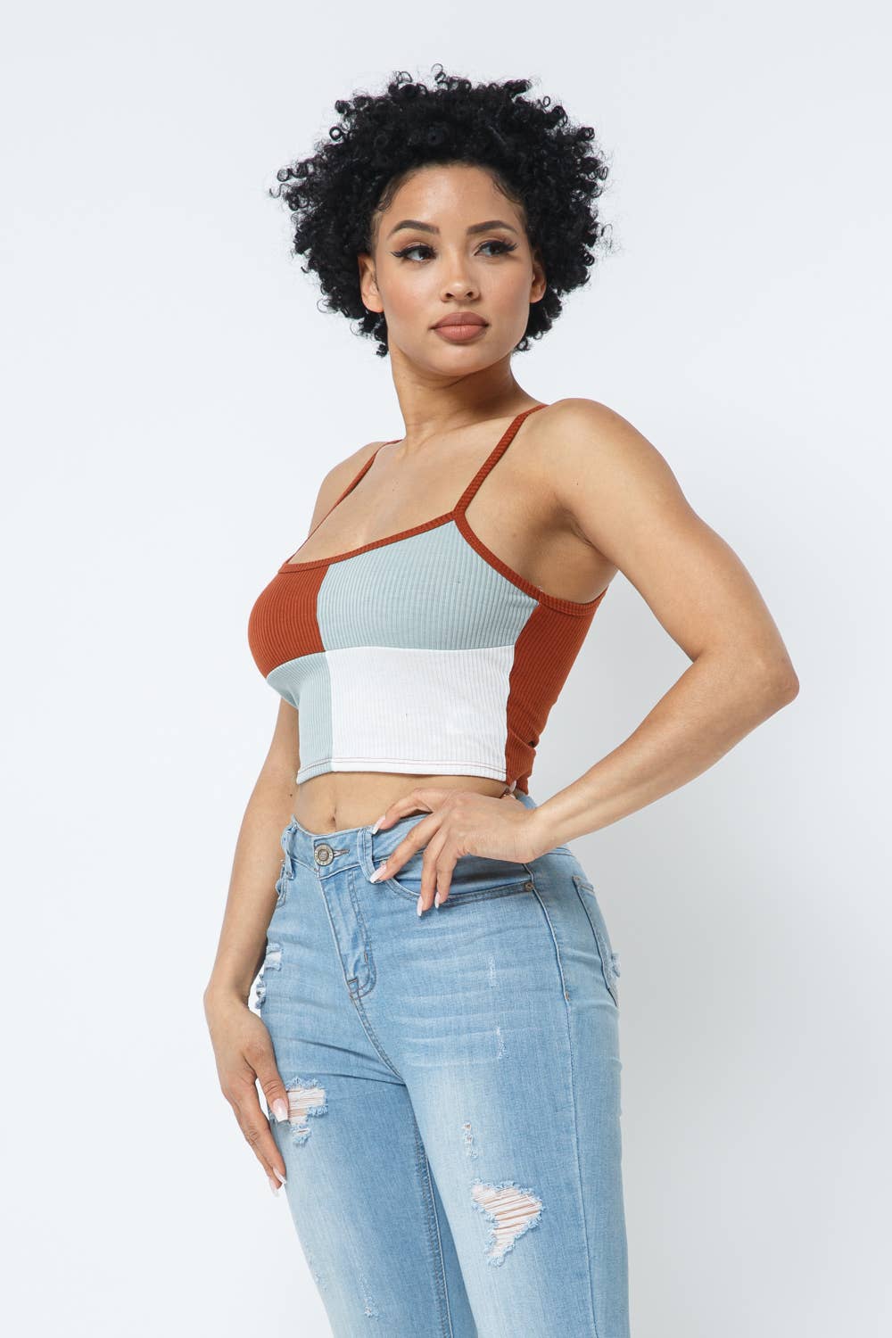 Sleeveless Color Block Crop Top