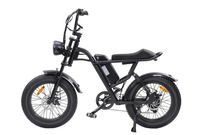 E-Bike 750W Motor,48V15Ah Battery,20 Inches