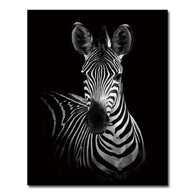 NEW Black And White Animals Tiger And Lion Wall Art Canvas Print Poster