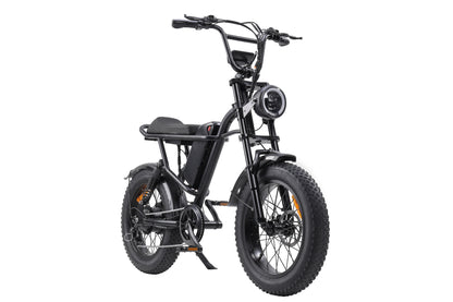 E-Bike 750W Motor,48V15Ah Battery,20 Inches