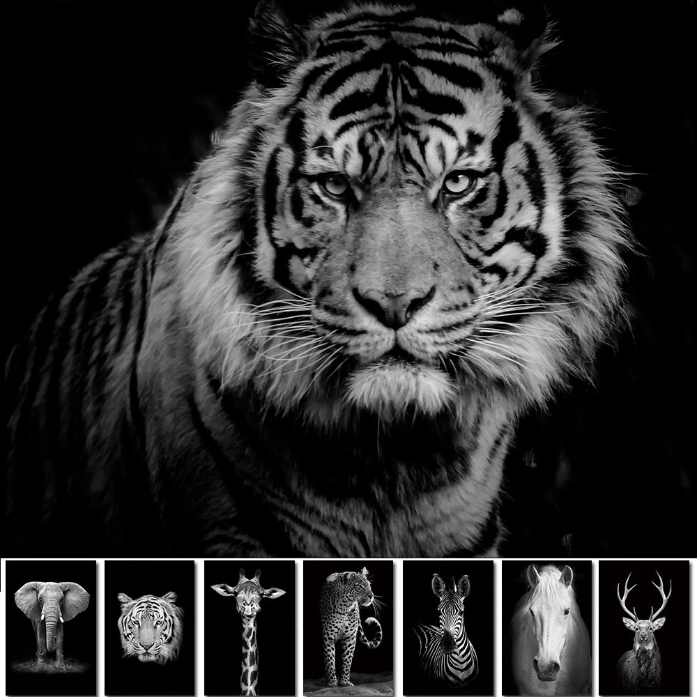 NEW Black And White Animals Tiger And Lion Wall Art Canvas Print Poster