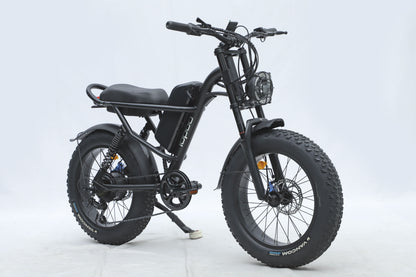 NEW Ebike,750W Motor,48V15.6Ah Battery,20 Inches,Maximum Speed 45KM