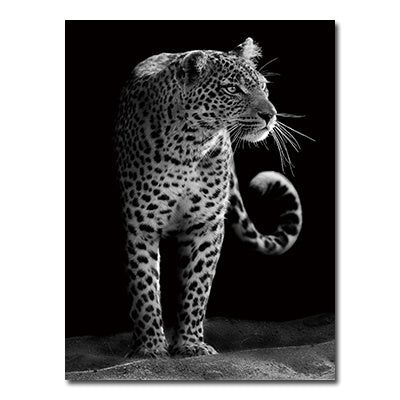 NEW Black And White Animals Tiger And Lion Wall Art Canvas Print Poster