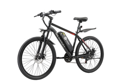 NEW EM200 Ebike,500W Motor,48V10.4Ah Battery,26 Inches
