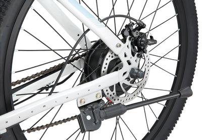 NEW EM200 Ebike,500W Motor,48V10.4Ah Battery,26 Inches