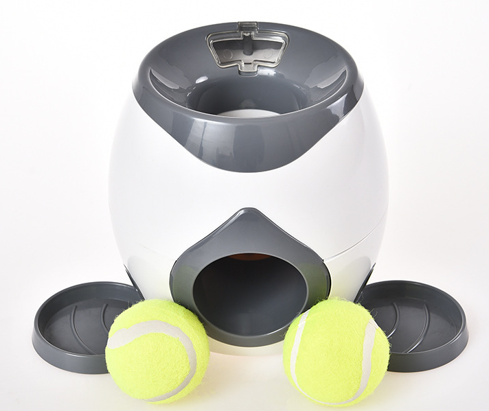 Intelligent Pet Feeder