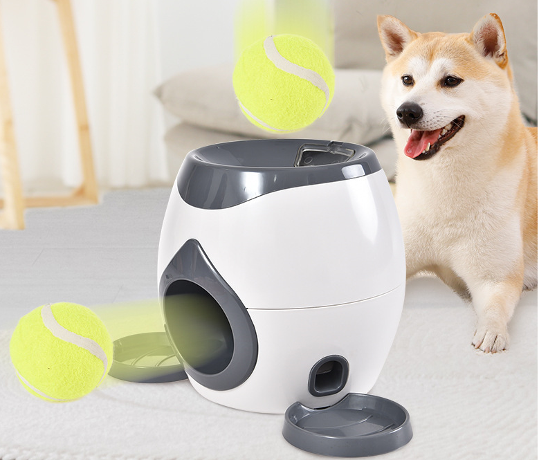 Intelligent Pet Feeder